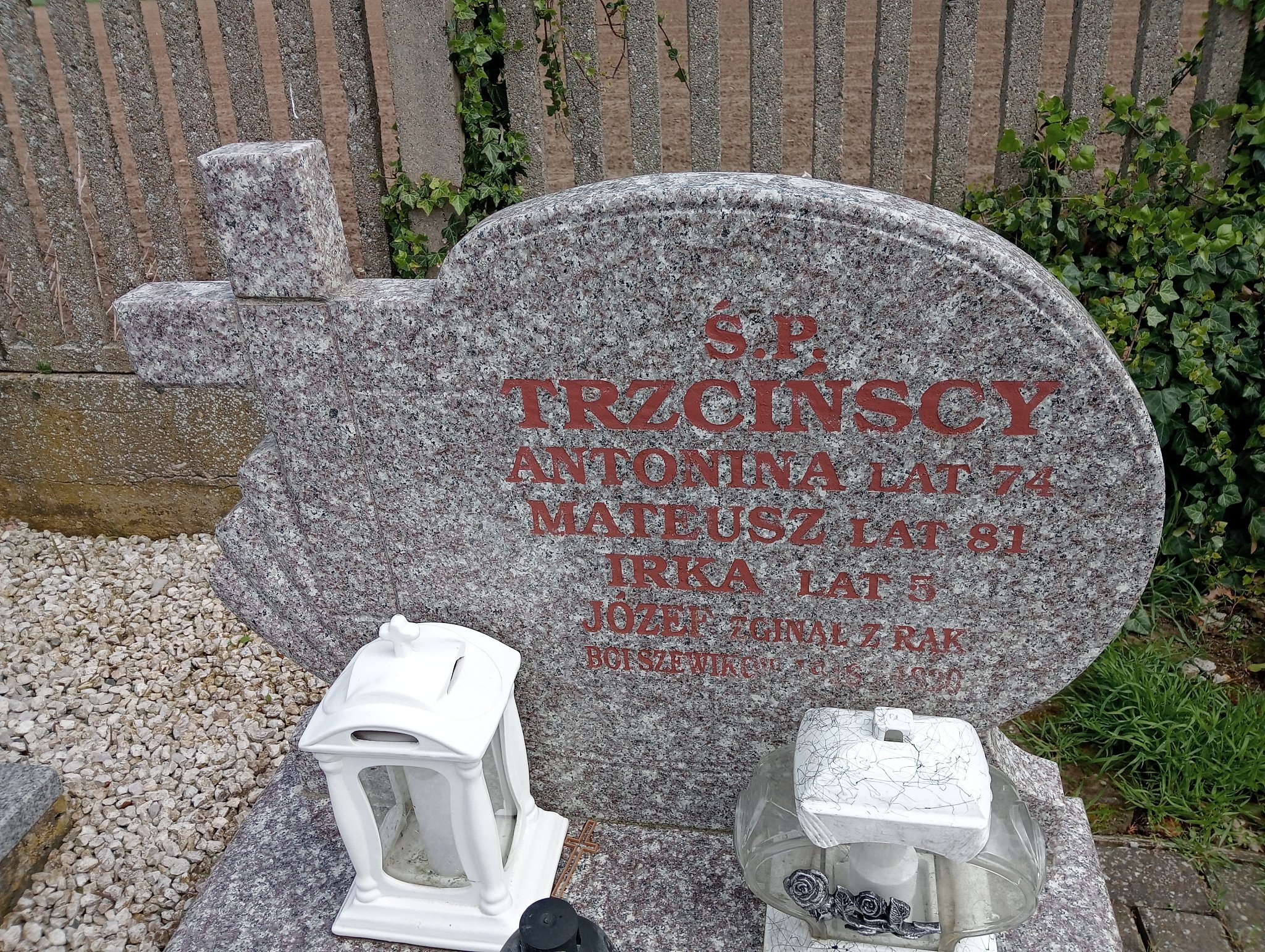 Józef Trzciński 1905 Stara Biała - Grobonet - Wyszukiwarka osób pochowanych